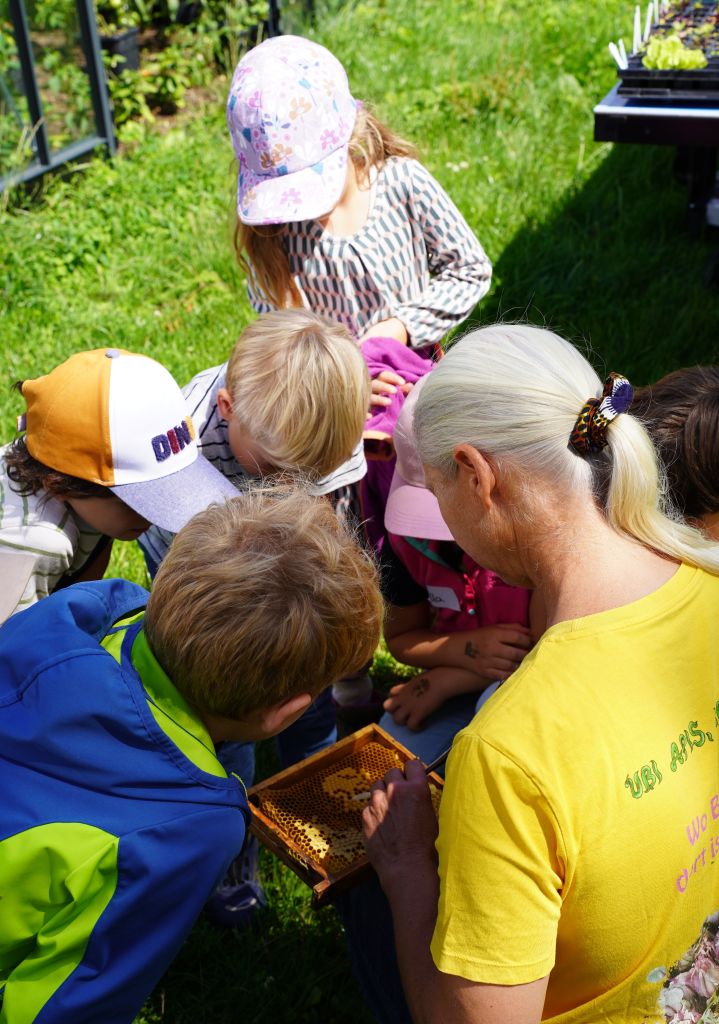 Sommerferienprogramm 2025